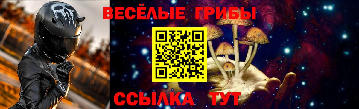 Галлюциногенные грибы Psilocybine cubensis  Вход с VPN  Вышний Волочёк  Псилоцибиновые грибы ЛСД 